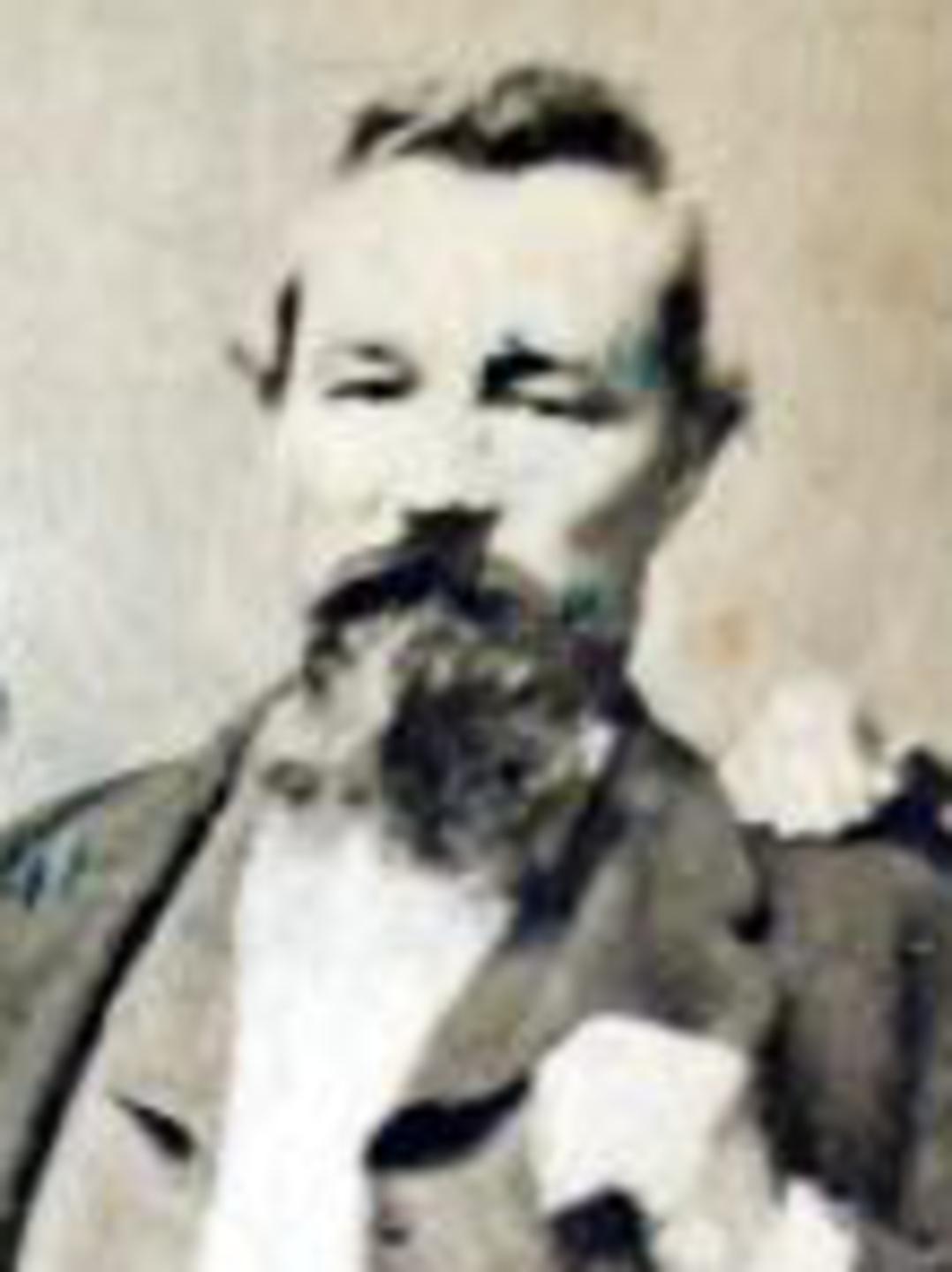 Alfred Alexander Nethercott (1832 - 1905) Profile